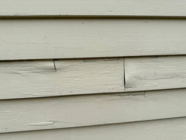 Affordable Siding Repair and Maintenance Services in Sprague, WV